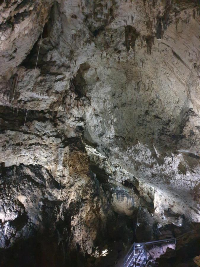 Vila Dionysos Brasov Vidombák Kültér fotó